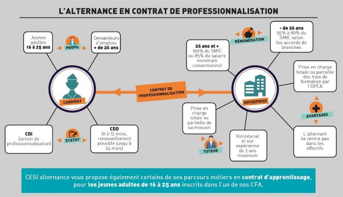 Le Contrat De Professionnalisation ・ CAPEB